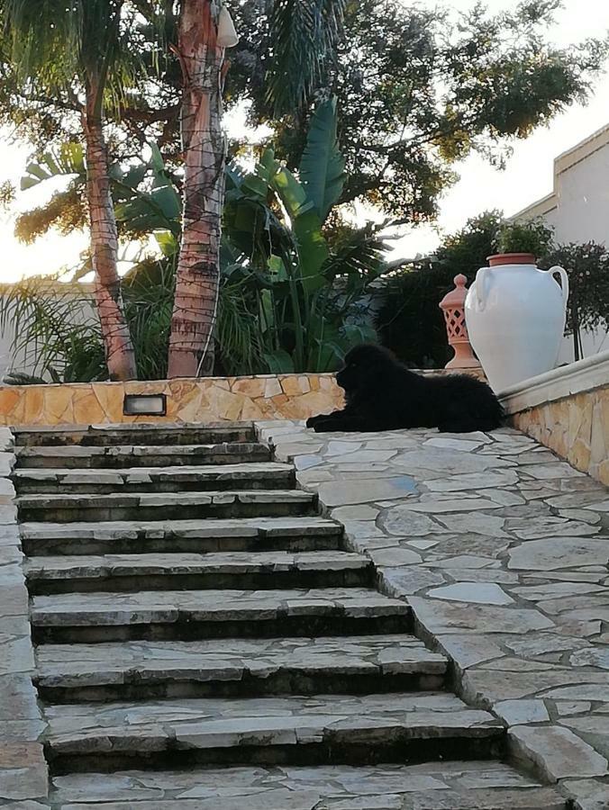 B&B Cesaranum Casarano Zewnętrze zdjęcie